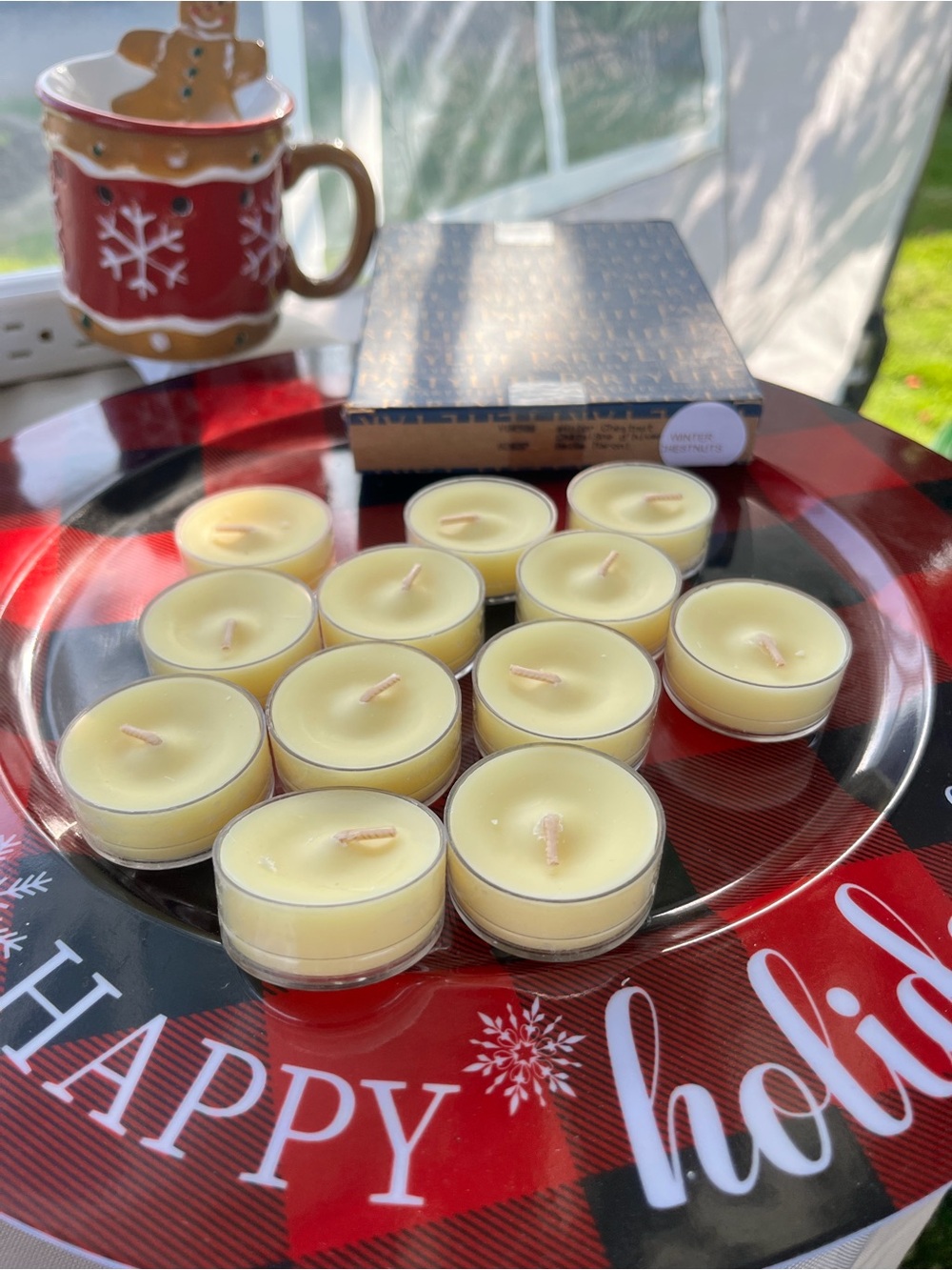 Partylite White Winter Chestnuts Tealight CANDLES Christmas Autumn Holiday